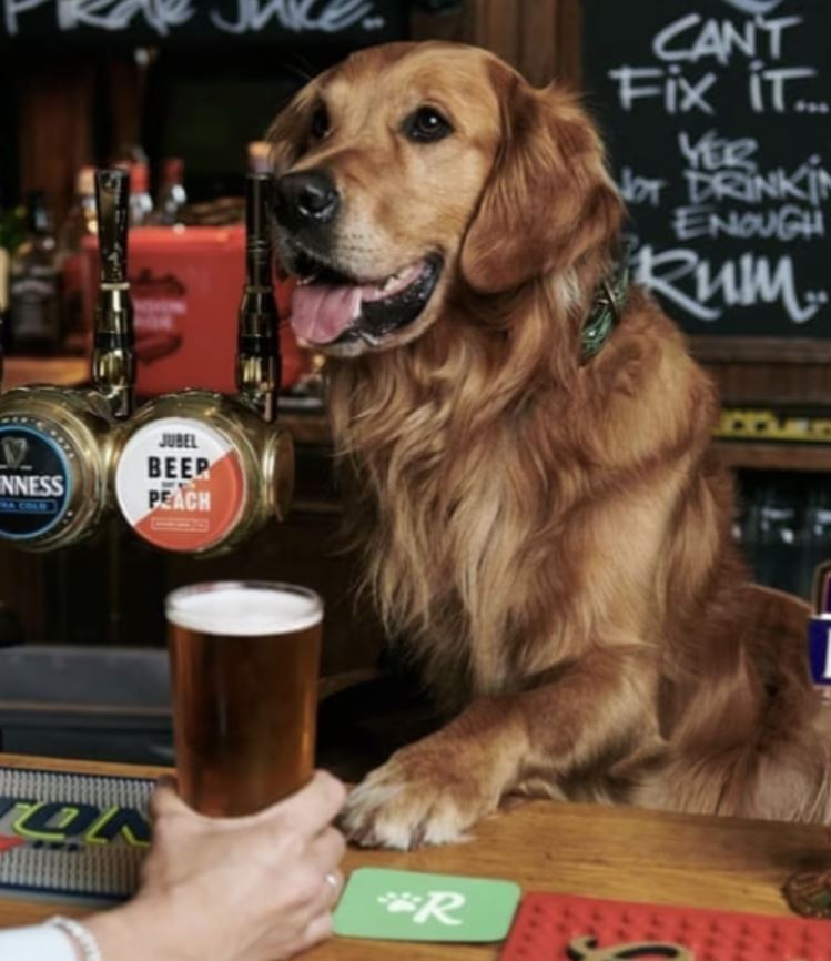 Picture of a dog serving beer at a bar for the introduction